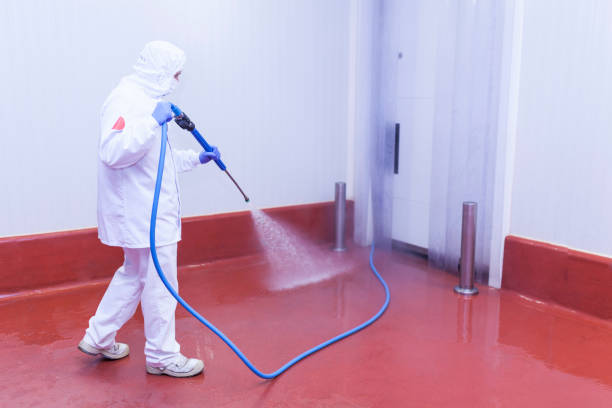 Best Building Exterior Washing  in North Bellmore, NY
